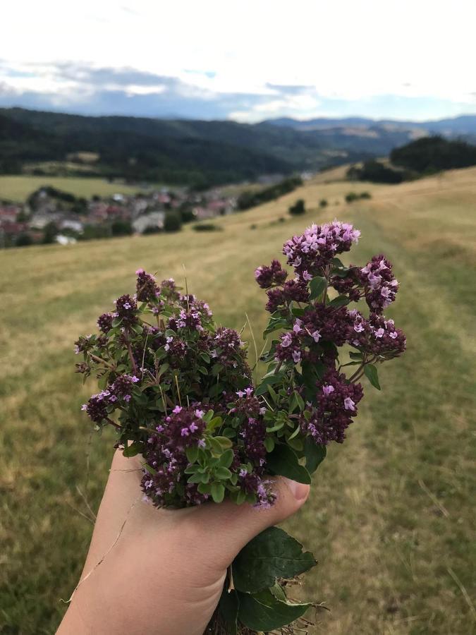 Chalupa Helena Na Poraci Eksteriør billede